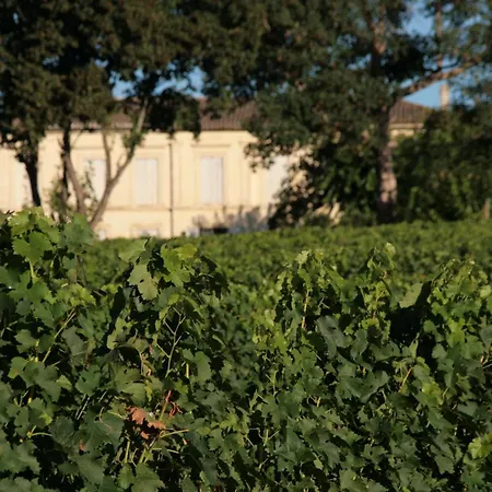 D'hotes Proche St Emilion Avec Petit Dejeuner * Saint-Germain-du-Puch