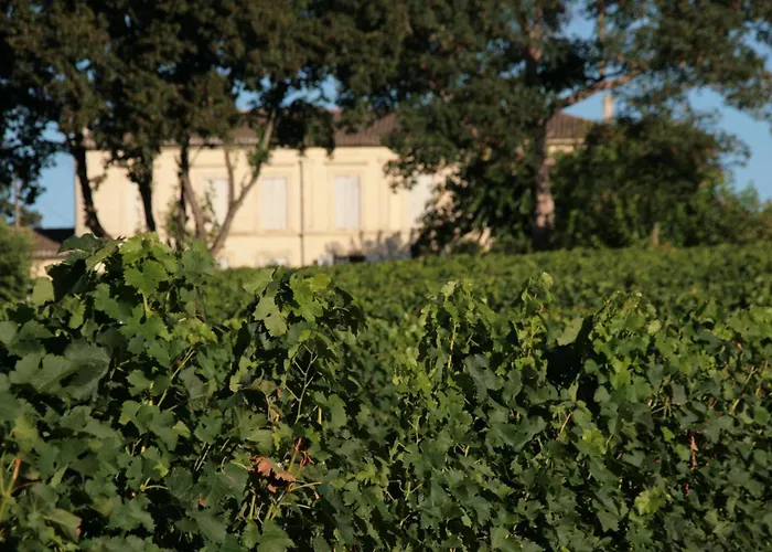 D'hôtes Proche St Emilion Avec Petit Déjeuner * Saint-Germain-du-Puch